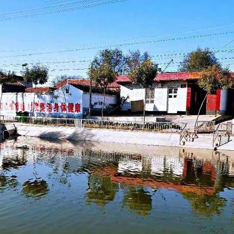 黄河街道王寨村：﻿以党建引领为抓手 打造美丽生态宜居新王寨