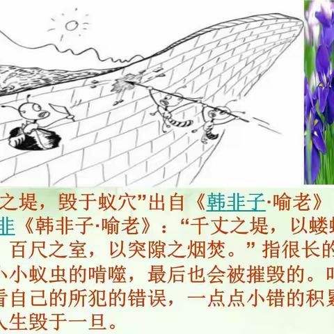 千里之堤，溃于蚁穴