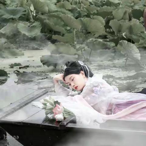 《清荷雅韵》  出镜：传晶  摄影开口笑