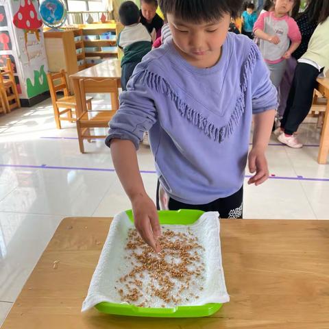 本周精彩瞬间