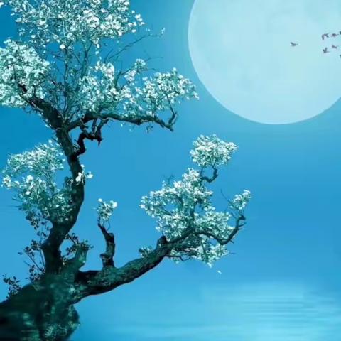 花好月圆（女篇）