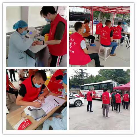 陕州区人社局：无偿献血   让爱传递