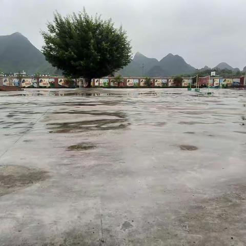 美丽的大坡小学