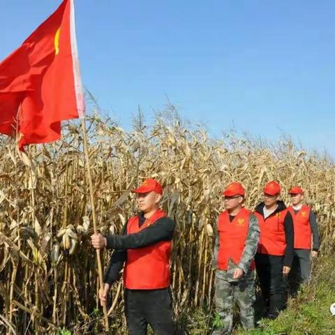 嘉荫农场有限公司党员民兵干部履职尽责   助力秋粮丰产丰收