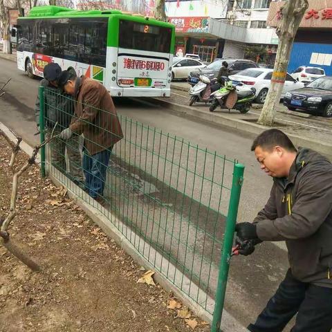 三门峡市绿化工程管理处本周工作小结