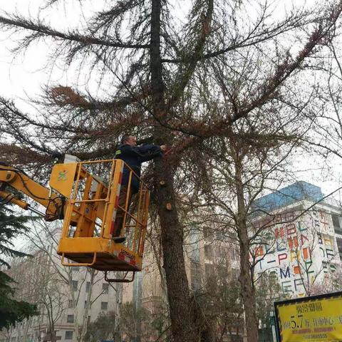 三门峡市绿化工程管理处本周工作小结