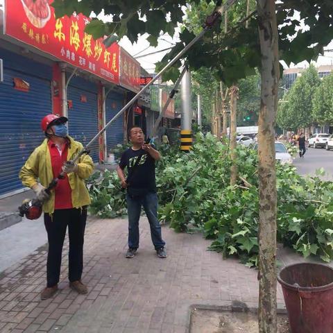 三门峡市绿化工程管理处本周工作小结