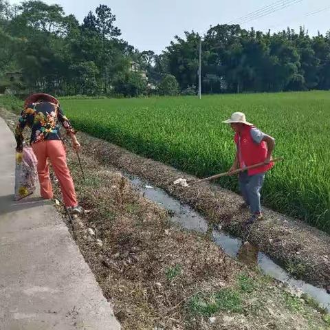 大田村新时代文明实践开展“美丽家园，人居环境整治”活动