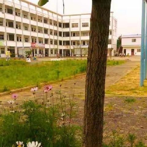 “你好一年级”岔河镇楚墩小学一年级入学活动掠影