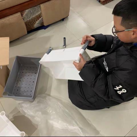 哲豪青菜种植记