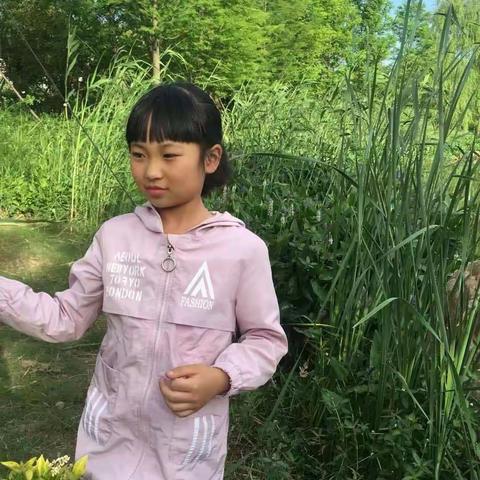新湖之夏