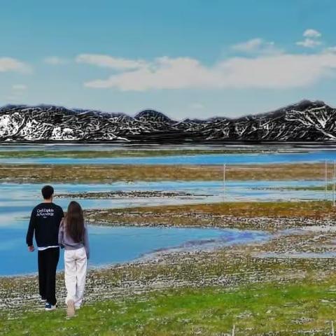 雪豹石刻创意 跨界画意习作