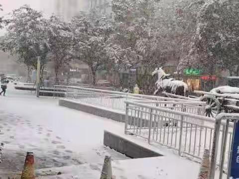 西市场街道开展极端天气流浪乞讨人员救助巡视工作