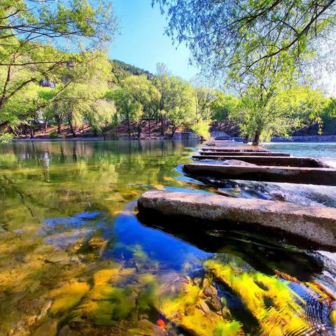 迎二十大中铁献礼