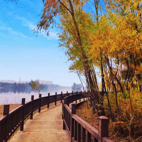 天涯何处觅知音