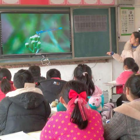 相互促进共提高——商楼小学公开课教研活动