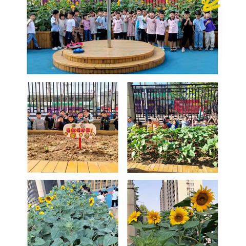 🎈🎈🎈的美篇