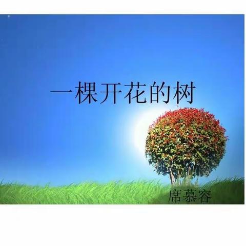 《一棵开花的树》——席慕蓉