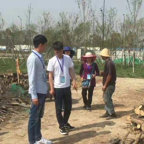 林业科工作动态