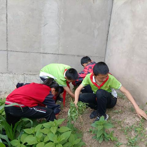 点滴生活   快乐相伴——六年级4班陶韵中队小学生活回顾（一）