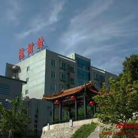 槐树岭是一个美丽而神秘的地方！我的少年，青年是从这里度过的。它称之为我的第二故乡……