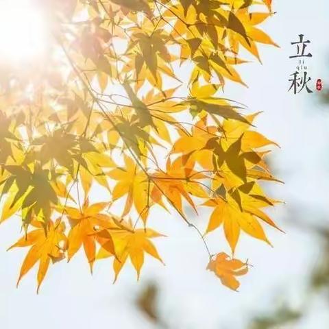 风吹一片叶，万物已惊秋---田庄乡学区二十四节气之立秋活动纪实