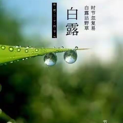 秋高气爽，玉露生凉---田庄乡中心小学二十四节气之白露纪实