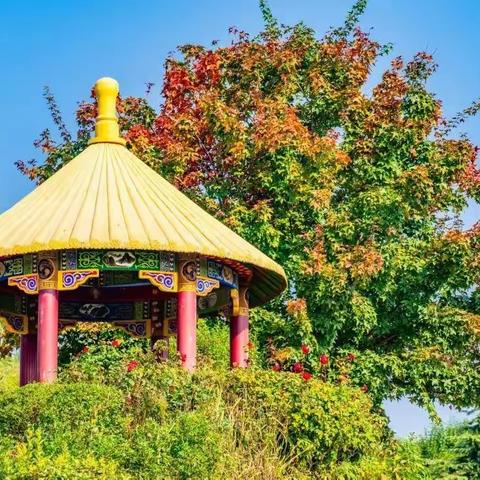 凤园秋已深 绵思情更长