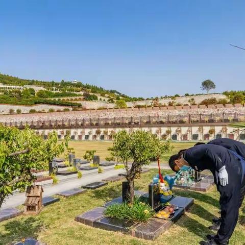 “疫”中寄情 | 思念没有距离 让爱如期而至