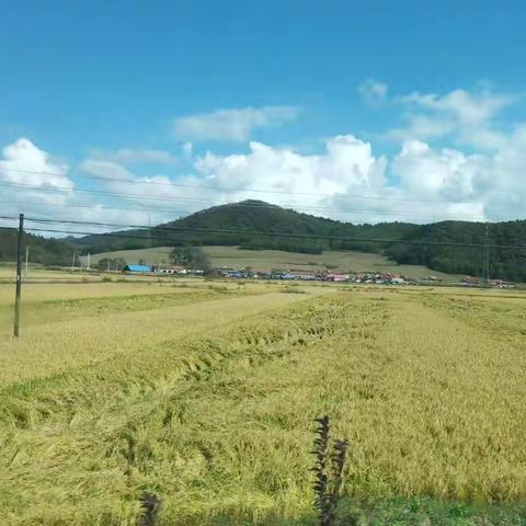 “蒲公英行动”抚顺市美术教师写生培训活动纪实——序曲