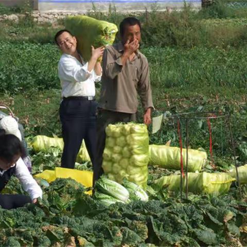 金融扶贫看农行之太白县支行到户精准扶贫解民忧