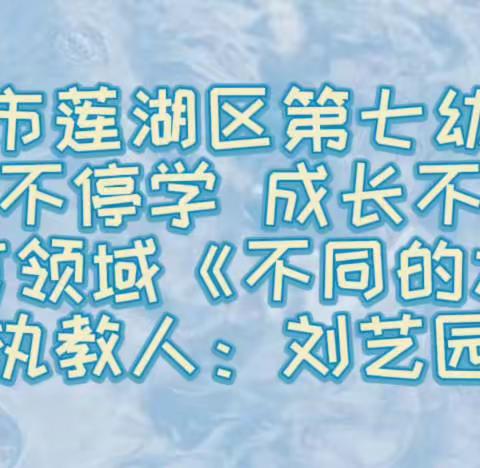 莲湖七幼大三班“停课不停学，成长不延期”语言活动《不同的水》