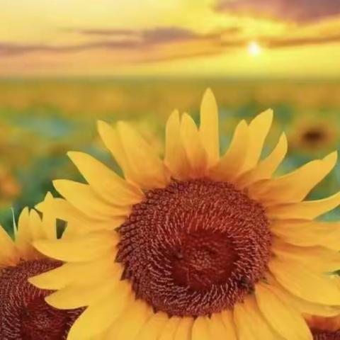 创建文明燕城倡议书