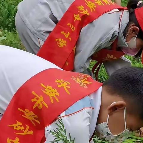 劳动教育，从娃娃抓起——安砂中心小学劳动月劳动周花絮