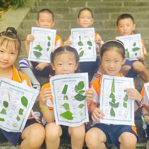 探寻外来入侵植物——绵阳市实验小学一年级八班乘风二队暑期实践活动