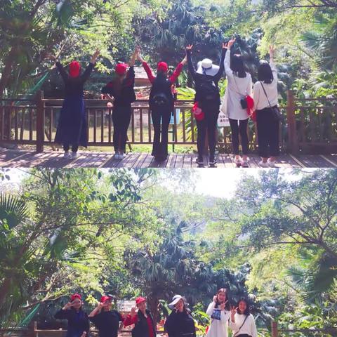 融合课程|畅游春意，感受自然