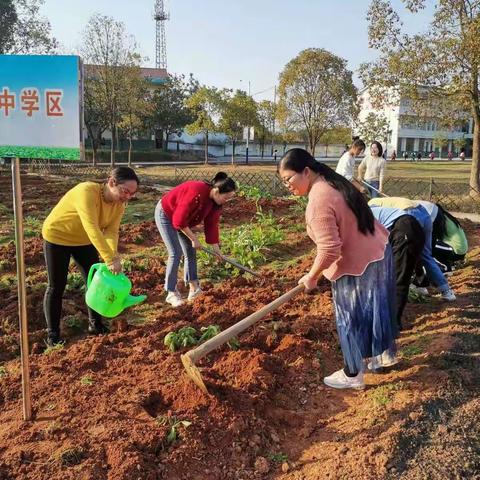 春种秋收——记城南中学党支部与乘前中学党支部共建劳动主题党日活动