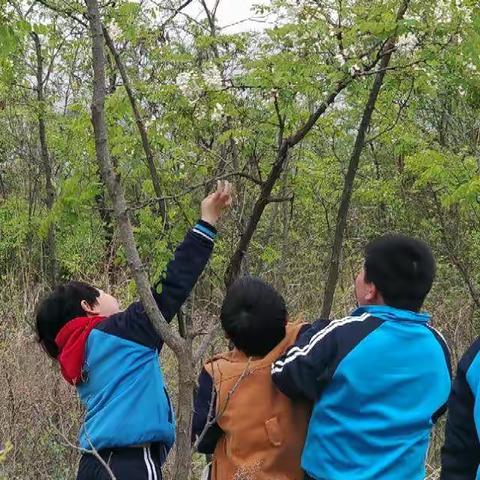 爱学习爱生活的好少年——英西小学少先队