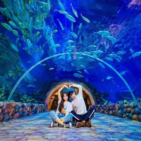 华夏文旅海洋馆———放飞海洋梦想        感受丝路传奇