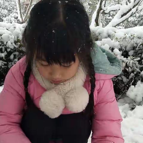 二中附小1901班—下雪了