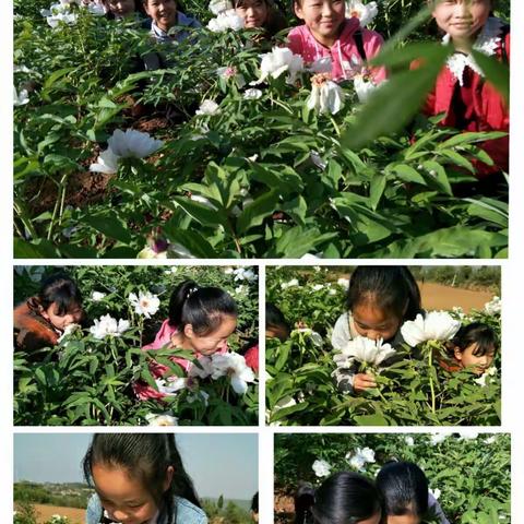 时光匆匆 不负春光----段洼六年级研学掠影