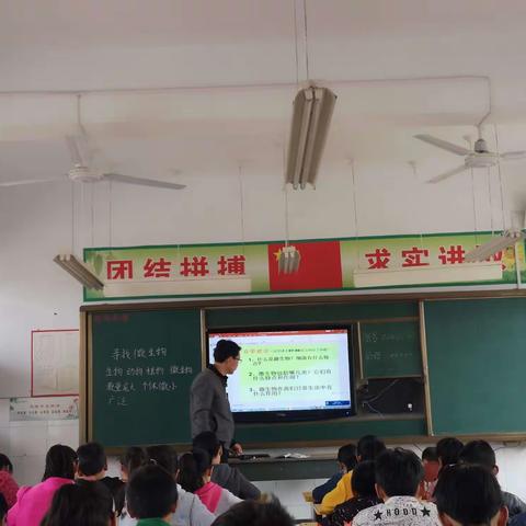 苔花如米小，也学牡丹开———正村镇小学科学教学研讨会