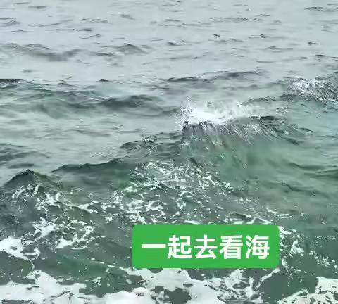 🌸一起去看海🌸一青岛游（之二）