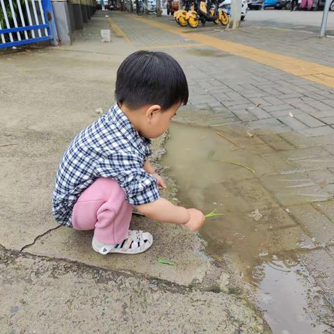 哭闹的芸豆