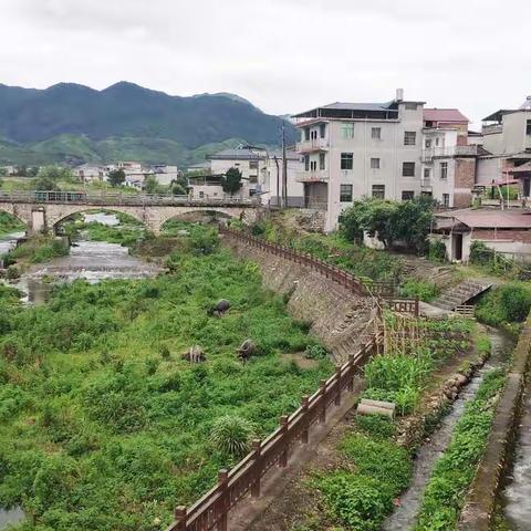 紫溪乡美丽集镇项目施工前后对比照片