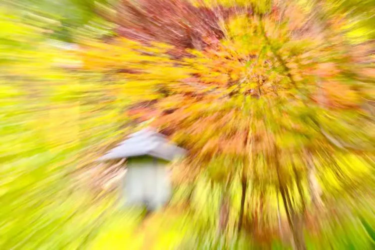 眼花缭乱