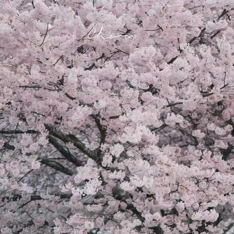 善卷中学2219班载风组9月周末作业完成情况