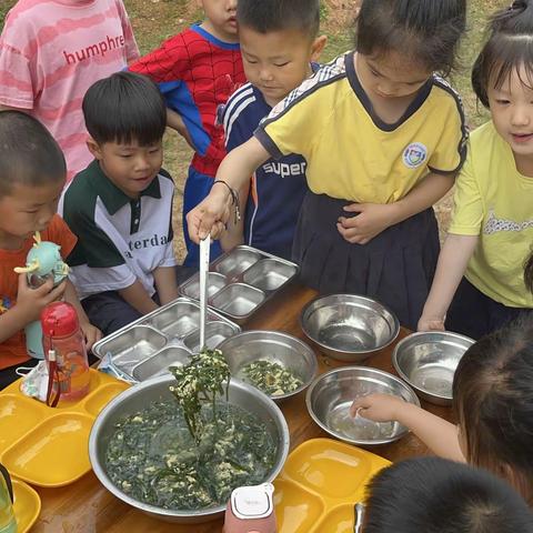 户外活动—“厨房历险记” 宣风镇中心幼儿园 中三班