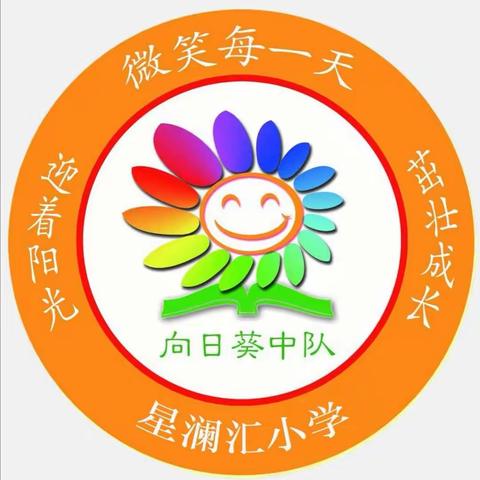 团结向上，精彩绽放--六年级3班向日葵中队班级文化建设