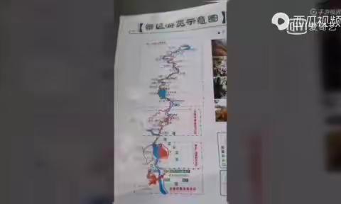 大王叫我来巡山